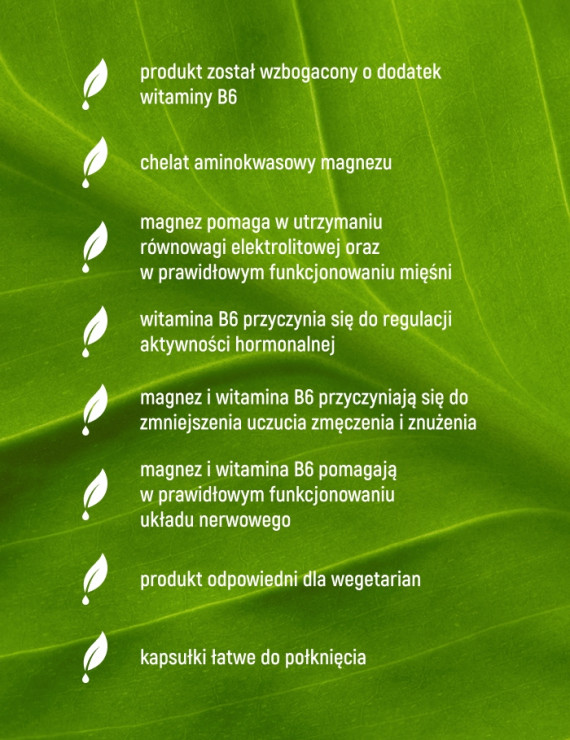 Magnez Ultra Glicynian + B6 w 90 kapsułkach