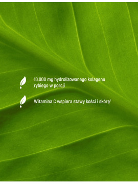 Kolagen Rybi Premium Smak Zielona Herbata  | Essensey | Piękna skóra