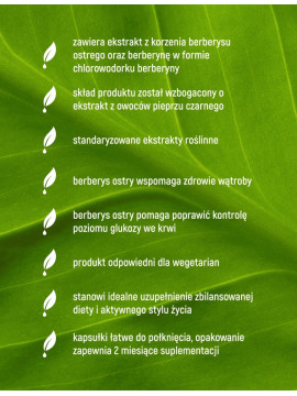 Berberyna HCL 98% w 60 kapsułkach