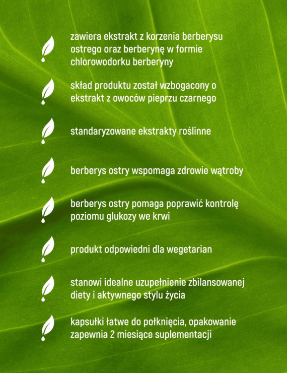Berberyna HCL 98% w 60 kapsułkach