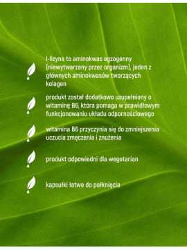 L-Lizyna w 90 kapsułkach
