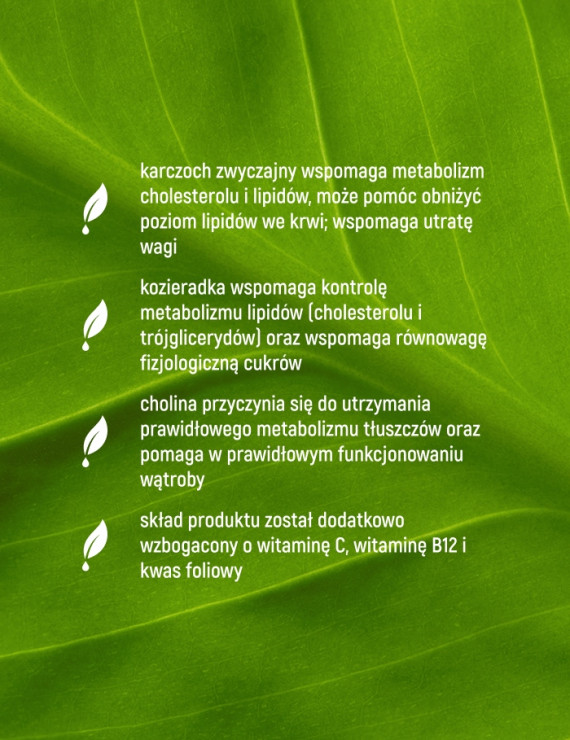 Na Cholesterol Complex + w 60 kapsułkach