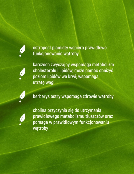 Na Wątrobę Complex + w 60 kapsułkach