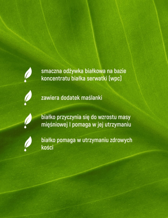 Odżywka białkowa - whey protein premium smak truskawkowy - 300 g
