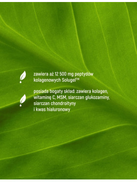 Kolagen Forte 12500 mg | Essensey | Stawy i Piękna skóra