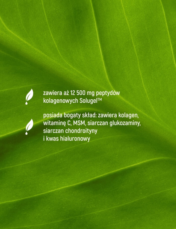Kolagen Forte 12500 mg | Essensey | Stawy i Piękna skóra