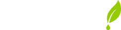 essensey.com