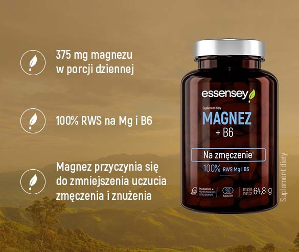 Zestaw Magnezu z witaminą B6 w dwóch opakowaniach + Pillbox